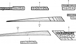 STRIPE for квадроцикла HONDA TRX250 A1987 year 