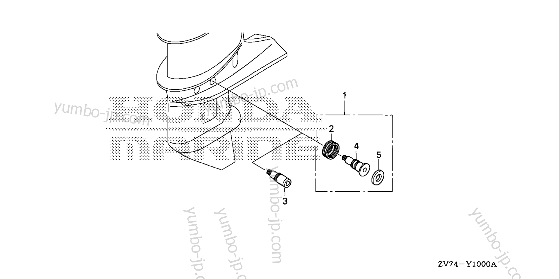 Шланги / Соединители для шлангов для стационарных двигателей HONDA BF30D6 LRTA 