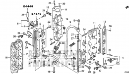 FUEL PIPE / INJECTOR for стационарного двигателя HONDA BF250A LW