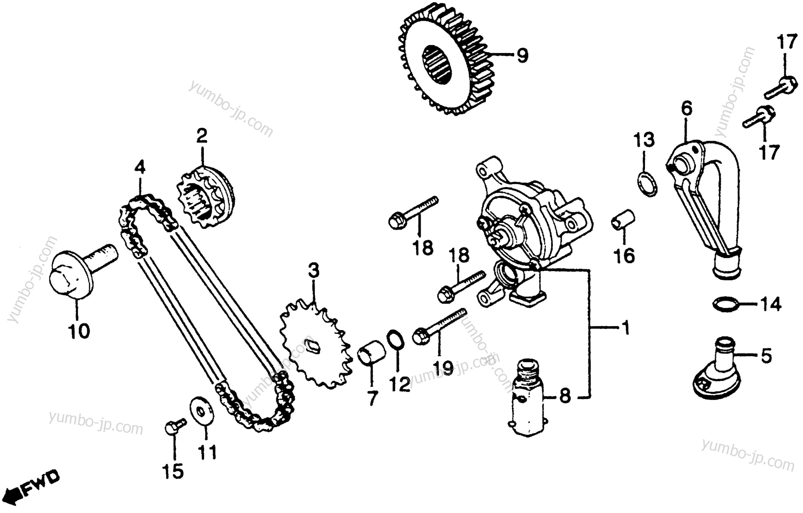 OIL PUMP / PRIMARY DRIVE GEAR for motorcycles HONDA GL650I A 1983 year