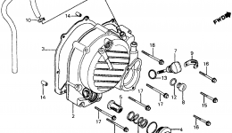 RIGHT CRANKCASE COVER for скутера HONDA CH125 A1984 year 
