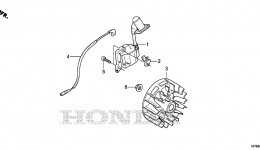 FLYWHEEL / IGNITION COIL (UMC435) for мотокосы HONDA UMC435A LAAT