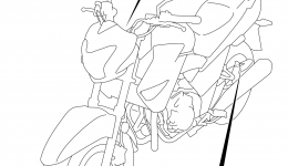 LABEL for мотоцикла SUZUKI GW2502014 year 