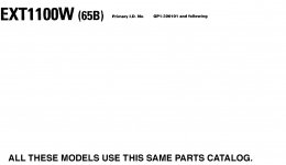 Models In This Catalog для катера YAMAHA EXCITER (EXT1100V) CA1997 г. 