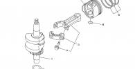 CRANKSHAFT PISTON